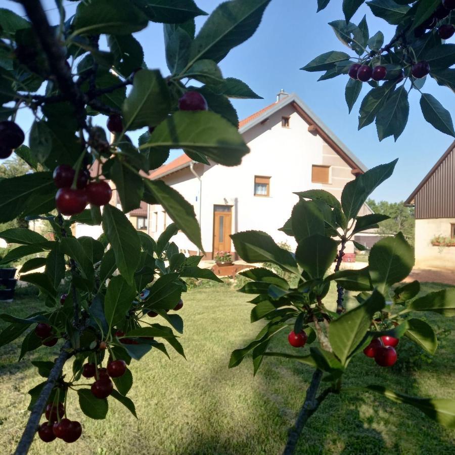 Kuca Za Odmor Boki Vila Gospić Exterior foto